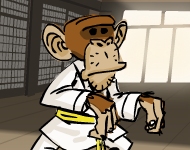 Karate Monkey